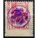 Córdoba, Pro Beneficencia, 5c carmine, Allepuz 18, used